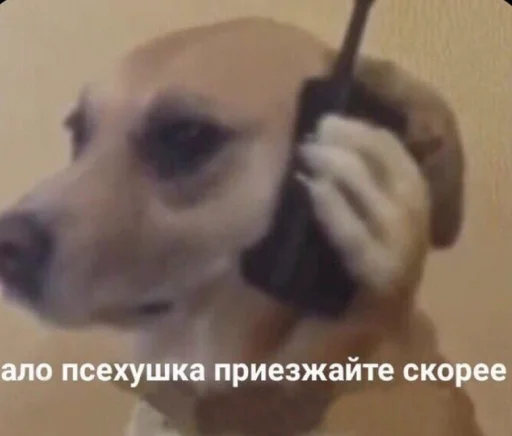 Эмодзи BermanMafia