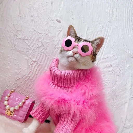 Эмодзи BIMBO ANIMALS