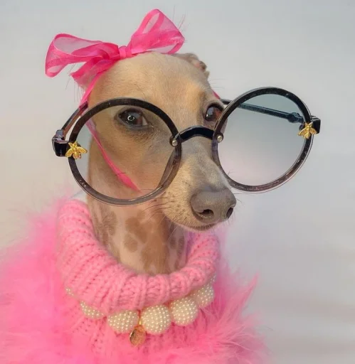 Эмодзи BIMBO ANIMALS