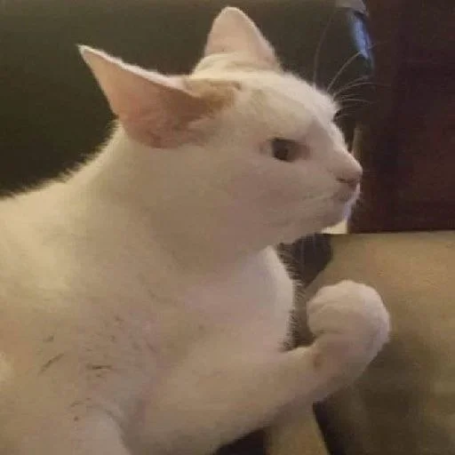 Эмодзи Bahmet's pack