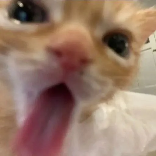 Эмодзи Bahmet's pack