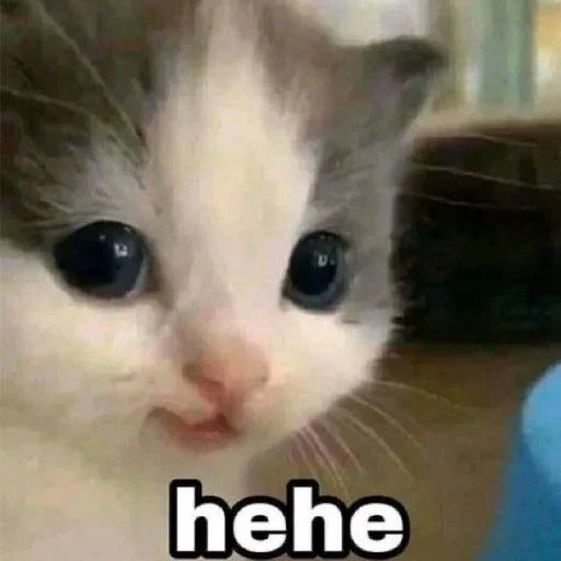 Эмодзи Bahmet's pack