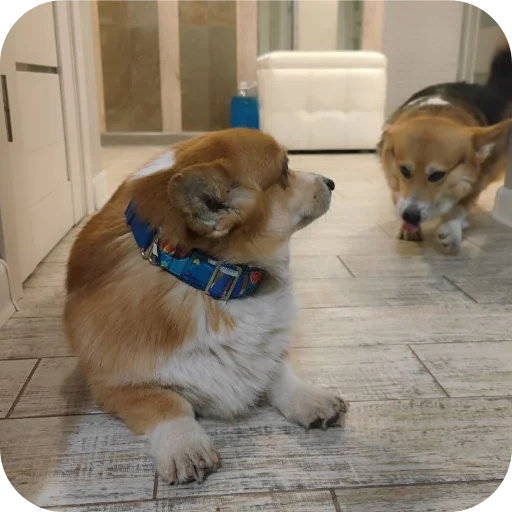 Эмодзи Бандит Бублик Кекс Коржик