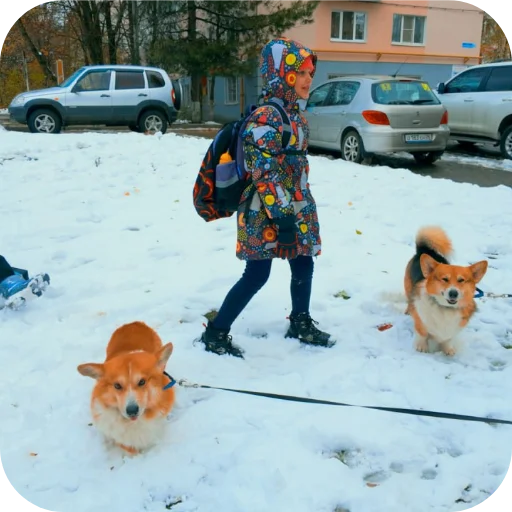 Эмодзи Бандит Бублик Кекс Коржик