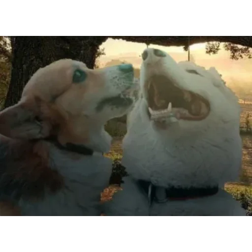 Эмодзи Бандит Бублик Кекс Коржик