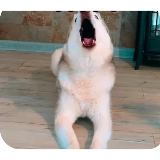 Эмодзи Бандит Бублик Кекс Коржик