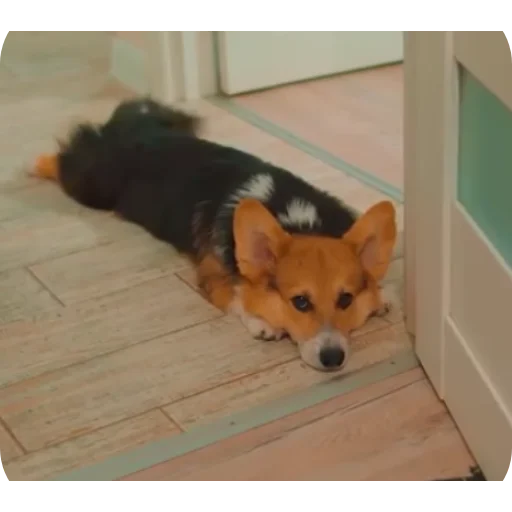 Эмодзи Бандит Бублик Кекс Коржик