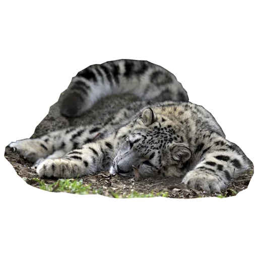 Эмодзи BarsFukuBaby