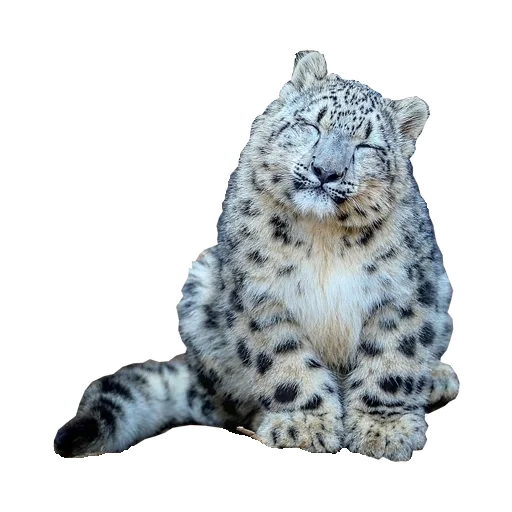 Эмодзи BarsFukuBaby