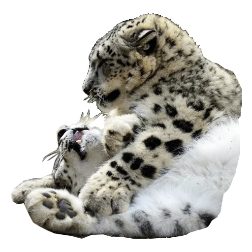 Эмодзи BarsFukuBaby