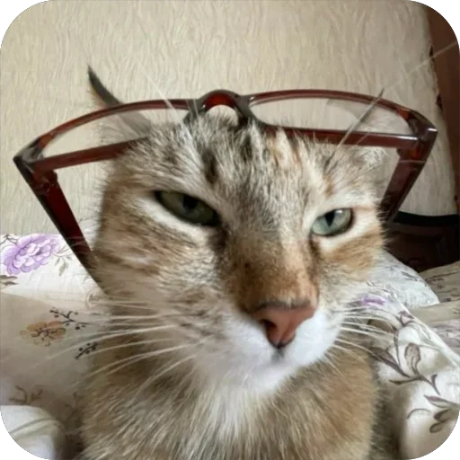 Эмодзи буси туси дуси