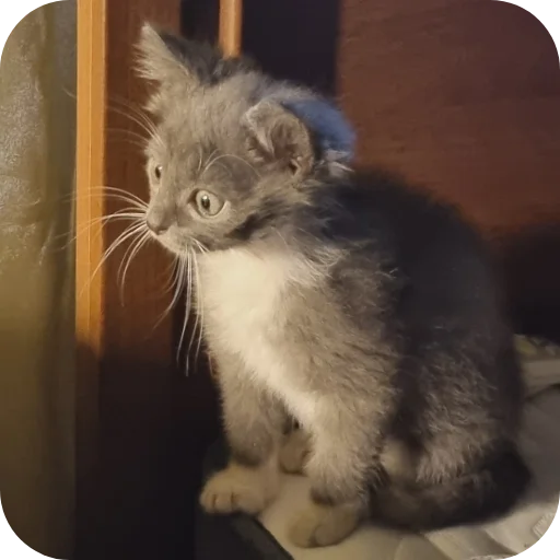 Эмодзи авÑобÑÑÑ