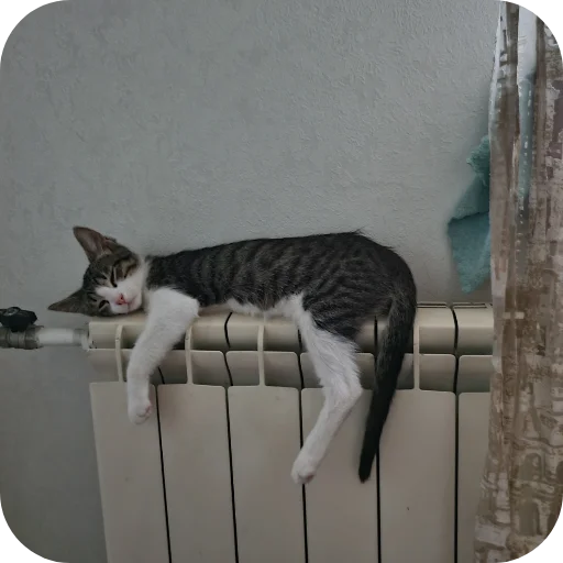 Эмодзи авÑобÑÑÑ