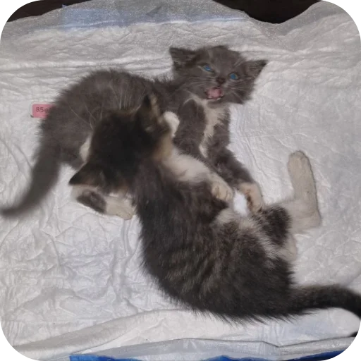 Эмодзи авÑобÑÑÑ