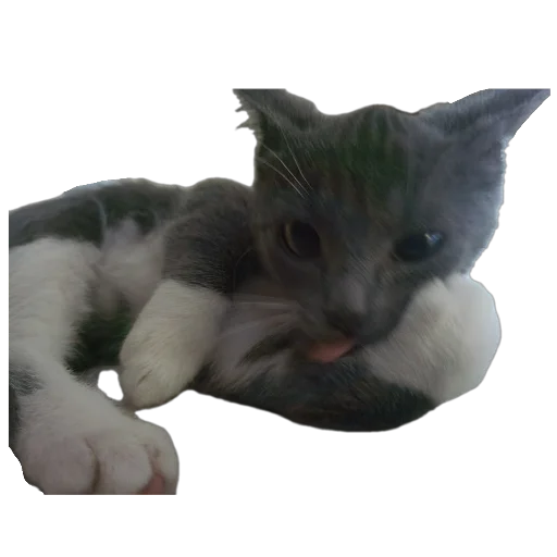 Эмодзи авÑобÑÑÑ