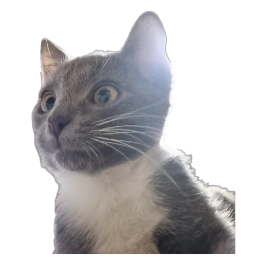 Эмодзи авÑобÑÑÑ