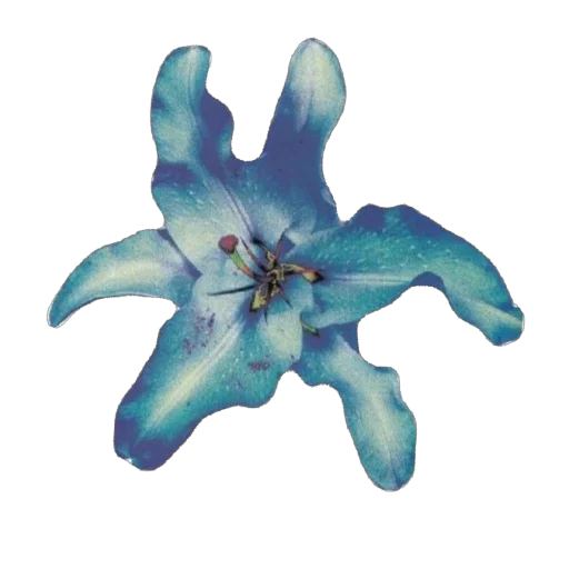 Эмодзи Blue World