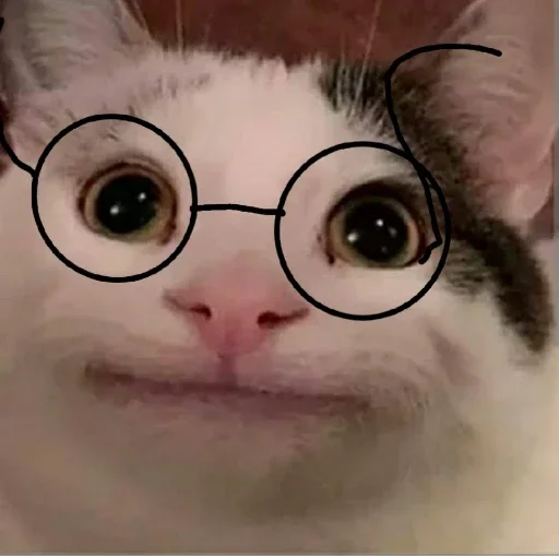👓