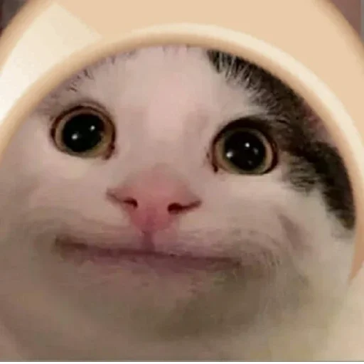 Эмодзи Beluga 🌚🌝