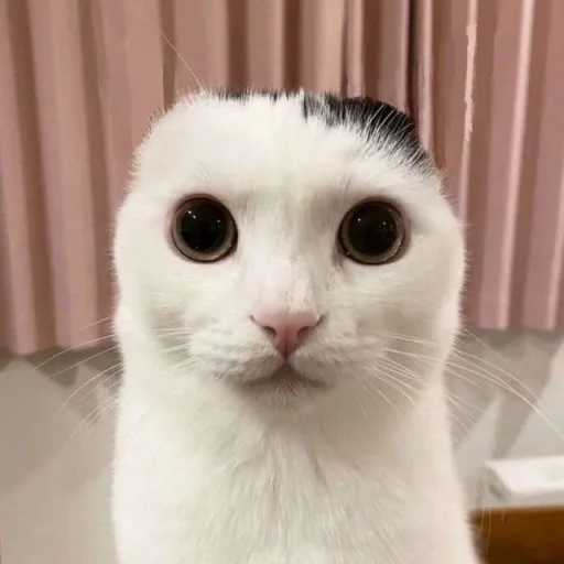 Эмодзи bentley