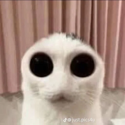 Эмодзи bentley