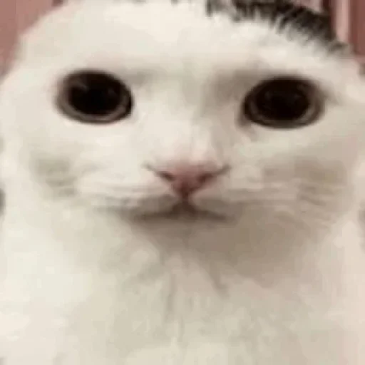 Эмодзи bentley