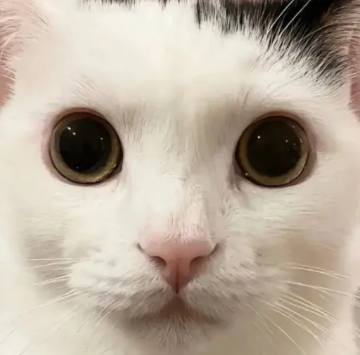 Эмодзи bentley