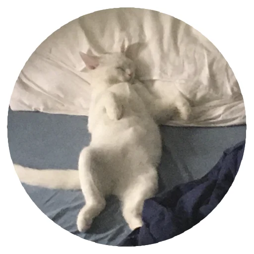 Эмодзи Бети :3