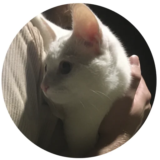 Эмодзи Бети :3