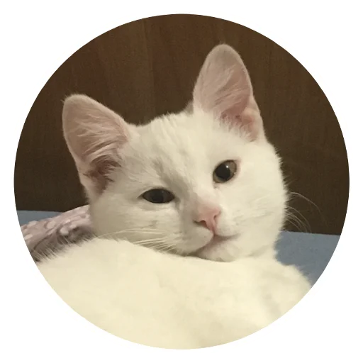 Эмодзи Бети :3