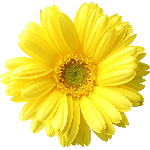 Эмодзи Big Flowers