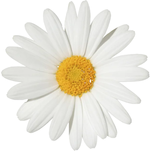 Эмодзи Big Flowers