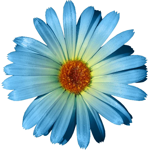 Эмодзи Big Flowers