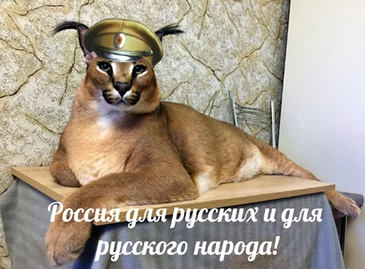 Эмодзи Большой Шлёпа