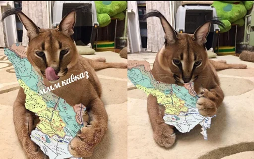 Эмодзи Большой Шлёпа