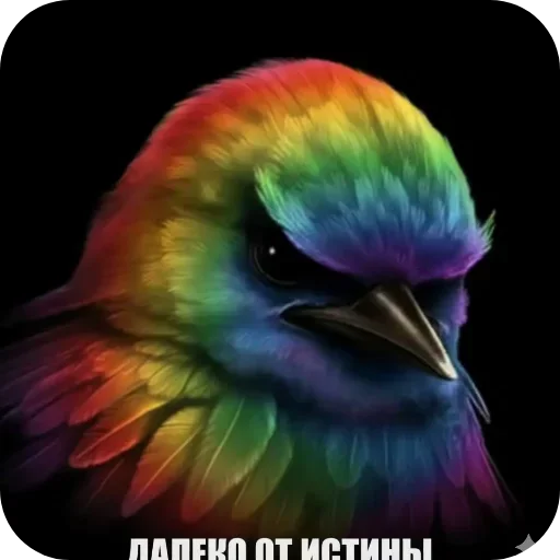 Эмодзи Birds Memes