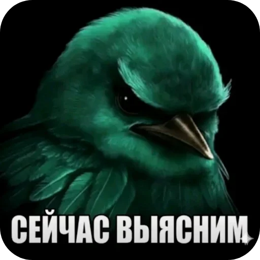 Эмодзи Birds Memes
