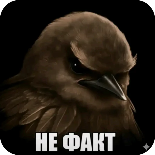 Эмодзи Birds Memes
