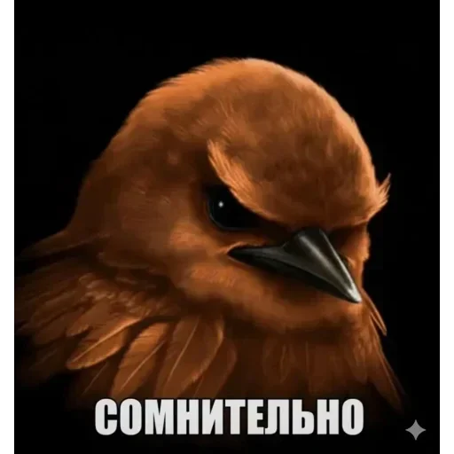 Эмодзи Birds Memes