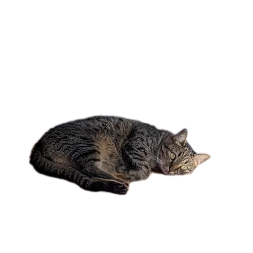Эмодзи Бисквит