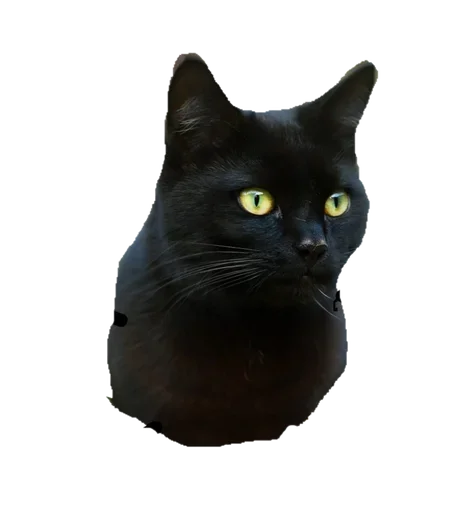 Эмодзи Black Cat