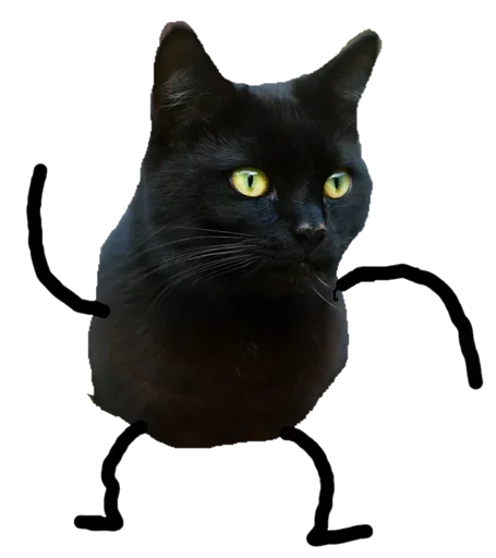 Эмодзи Black Cat