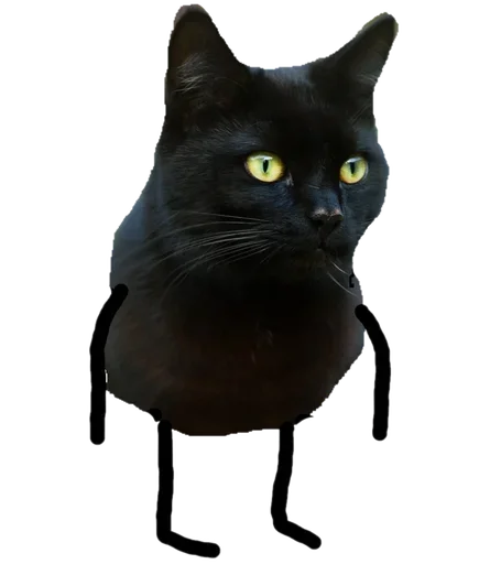 Эмодзи Black Cat
