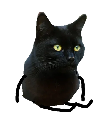Эмодзи Black Cat