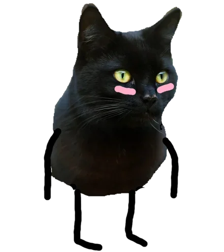 Эмодзи Black Cat
