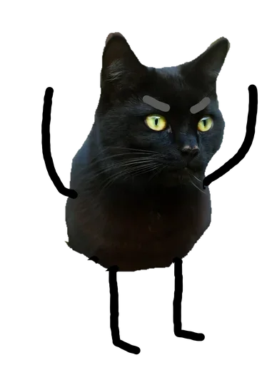 Эмодзи Black Cat
