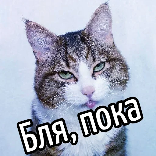 Эмодзи Ну Бля