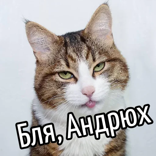 Эмодзи Ну Бля