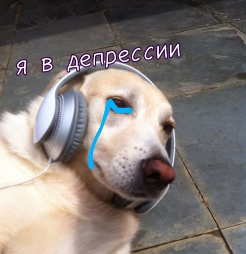 Эмодзи Тю блин: Зверюшки