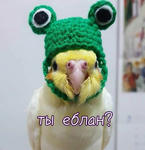 Эмодзи Тю блин: Зверюшки